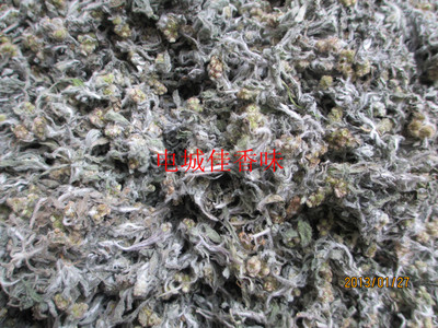 鼠曲草干佛追骨风绒毛清明菜棉花