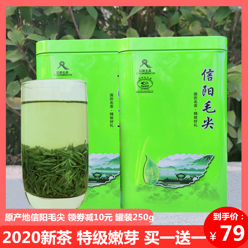 信阳毛尖2020新茶明前春茶散装特级高山绿茶250g浓香型嫩芽茶叶