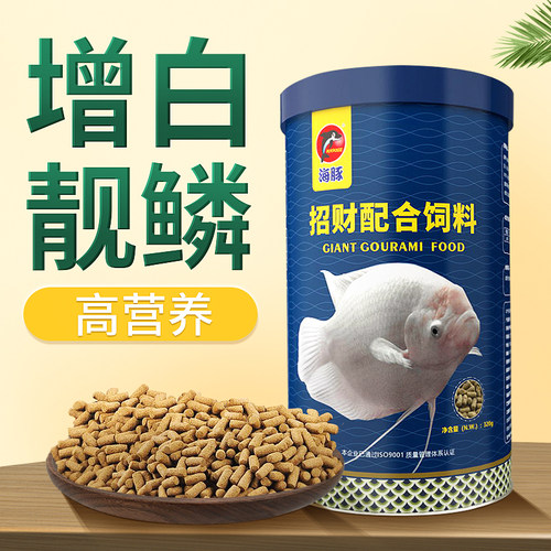 海豚大型肉食鱼招财地图专用饲料