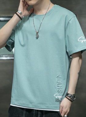 棉短袖T恤男士宽松纯棉上衣款夏季潮流潮牌半袖衣服男装一件代发