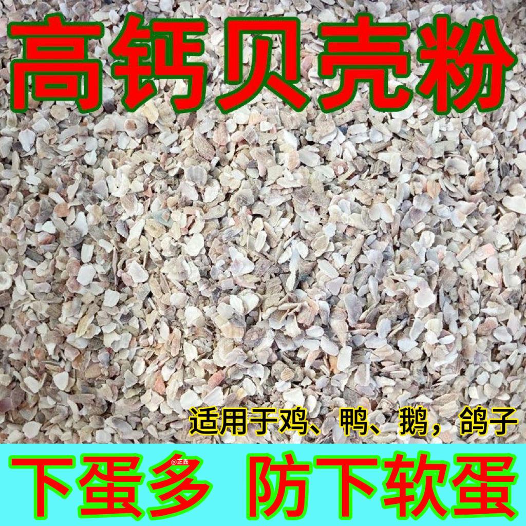 贝壳粉喂鸡芦丁鸡高钙贝壳粉鸡鸭鹅饲料鸽子补钙壮骨专用牡蛎粉