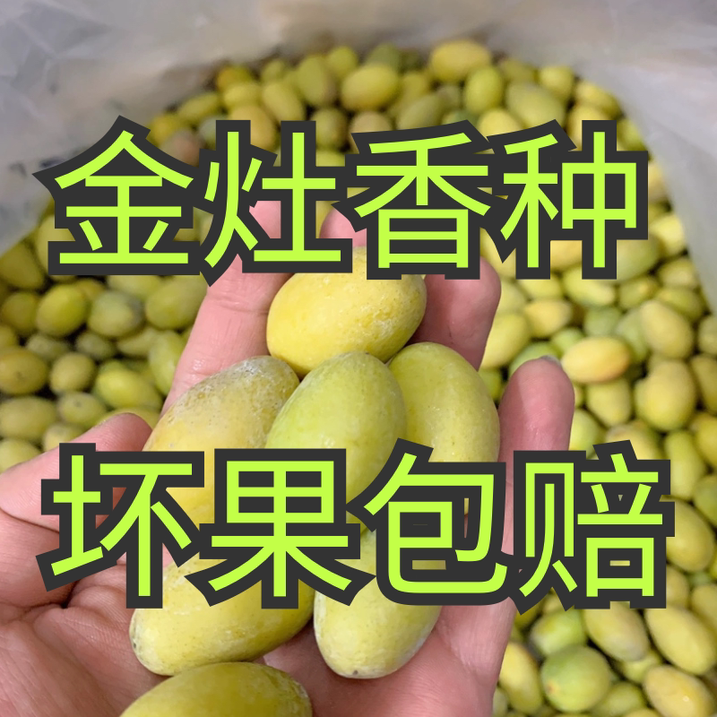 潮汕特产金灶青橄榄呐种香种新鲜