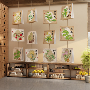 中医养生馆文化背景形象墙面装饰挂画中草药材氛围布置贴标本展示