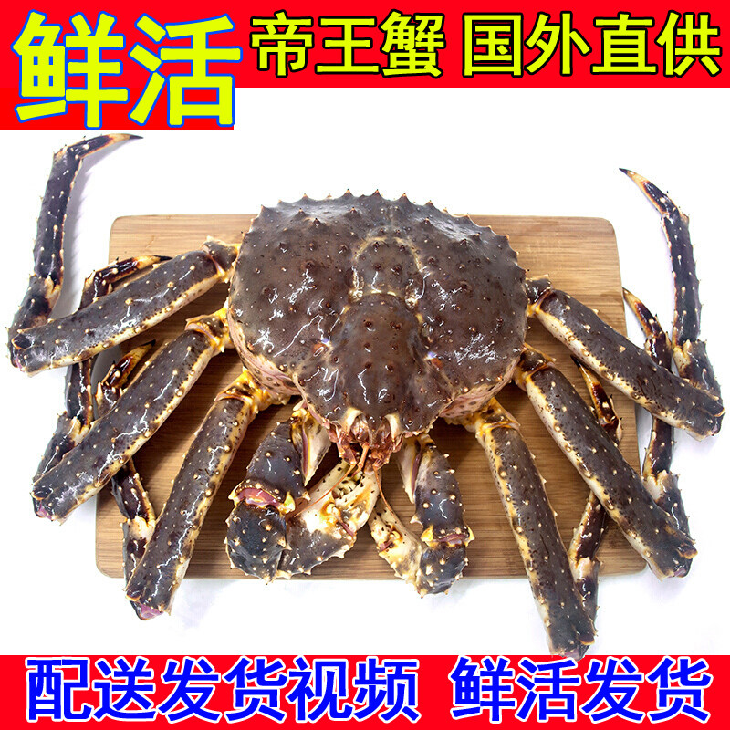 特大帝王蟹鲜活海鲜活大龙虾鲜活皇帝蟹水产礼盒俄罗斯10/20斤