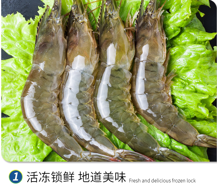 鲜活海明虾青岛大虾基围虾鲜活冷冻青虎虾对虾白虾烟台基围虾2斤