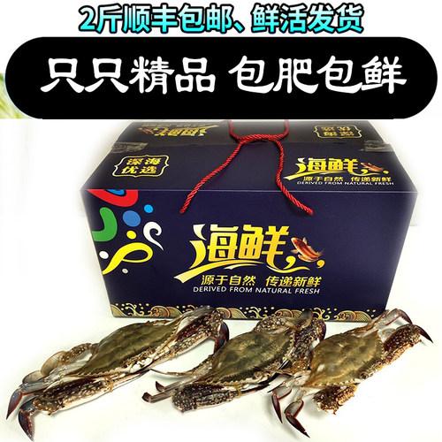 莱州湾梭子蟹鲜活大飞蟹野生母蟹飞蟹特大公蟹白蟹大螃蟹海蟹三斤 - 封面