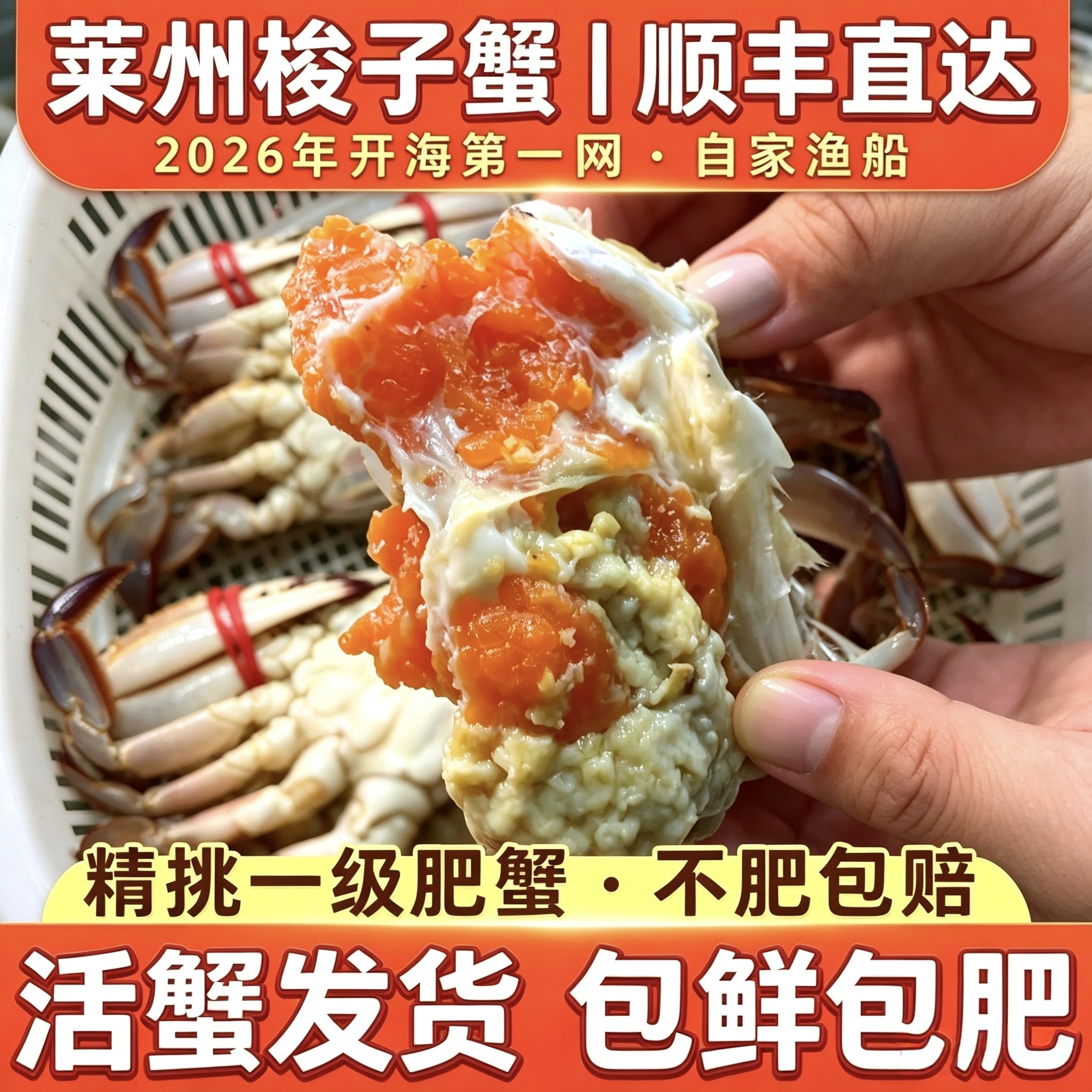【保鲜不保活】莱州飞蟹梭子蟹活鲜野生满黄膏母蟹新鲜海蟹螃蟹