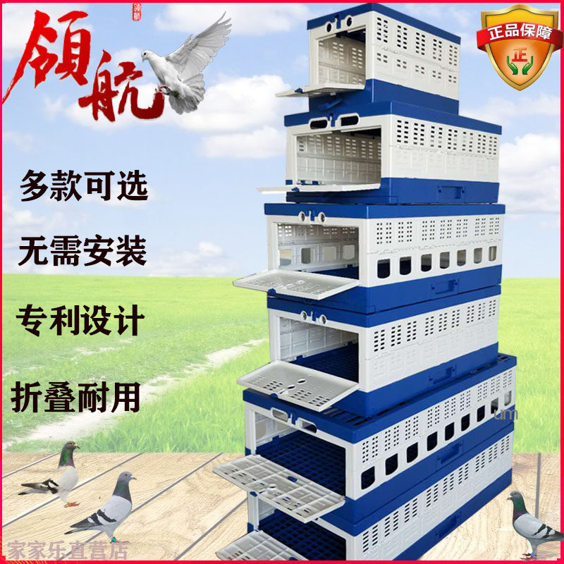 领航训放笼放飞报道笼塑料鸽子笼不锈钢折叠信鸽笼子赛鸽公棚鸽笼