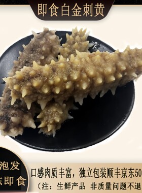 极杰印尼鲜海参Q弹肉厚性价比高