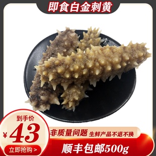 即食进口海参野生印尼白玉参刺黄无盐500g包邮非淡干海参孕妇滋补