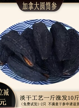 加拿大干货原装进口圆筒冰岛500g淡干北极红极参野生海参水产孕妇
