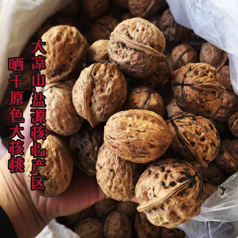大凉山老品种生核桃干果25年新货