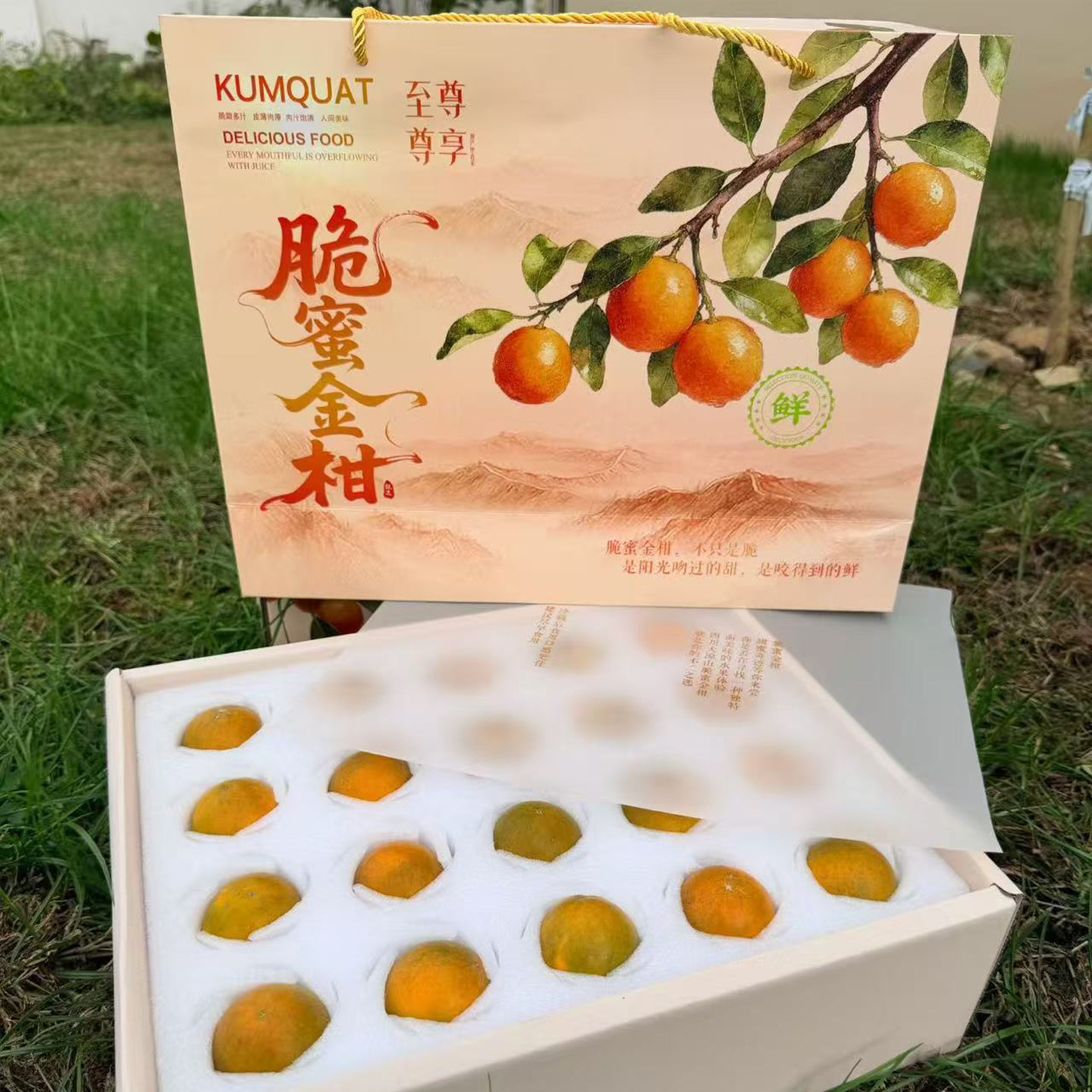 脆蜜金柑桔果王礼盒纯甜无籽新鲜水果四川大凉山露天高山顺丰应季,水产肉类/新鲜蔬果/熟食,桔子,淘宝优惠券,粉丝福利购,淘宝优惠卷