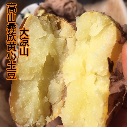 彝族高山农家大凉山黄皮黄心土豆