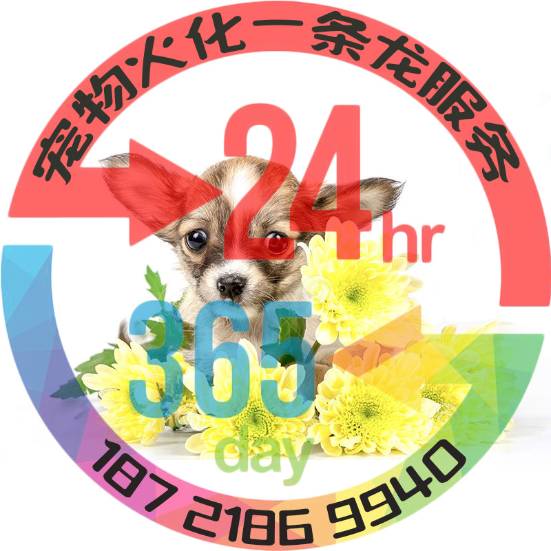 上海市宠物火化宠物殡葬动物遗体火葬尸体无害化处理上门安乐安葬