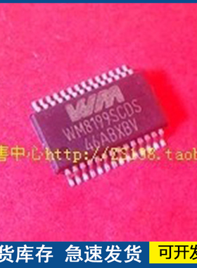 进口 WM8199SCDS   封装SSOP28  质量保障 欢迎咨询