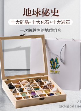 化石标本科普创意书房收藏品矿石