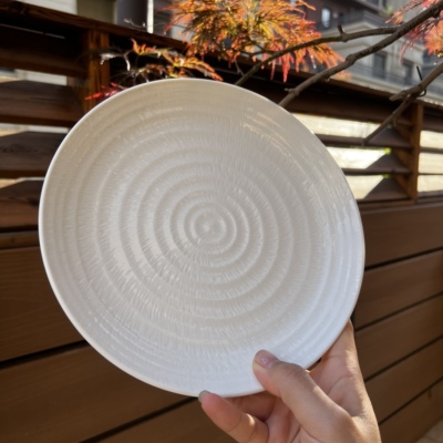 Luzerne宋song念系列羽毛平盘牛排盘建白透明釉菜盘高级感碟子