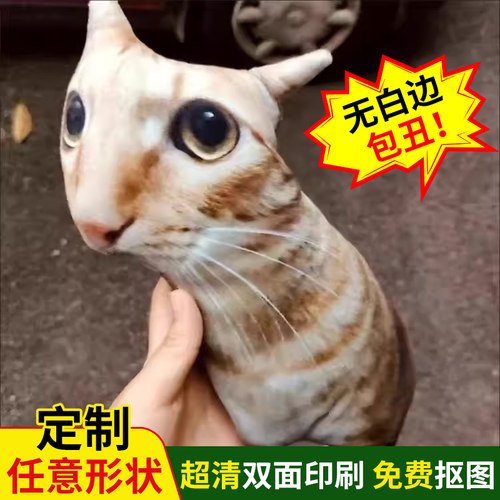 定制丑猫搞怪创意纪念异形枕头