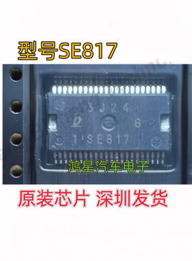 原装 SE817 汽车电装发动机电脑板节气门怠速芯片 进口芯片直拍
