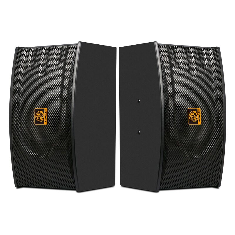 狮乐 BX-118音箱专业家庭ktv音响家用卡拉OK会议室教学活动舞台