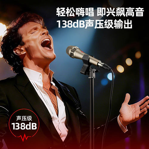 得胜 TA65专业动圈麦克风演出唱歌家庭ktv演唱K歌卡拉OK舞台话筒