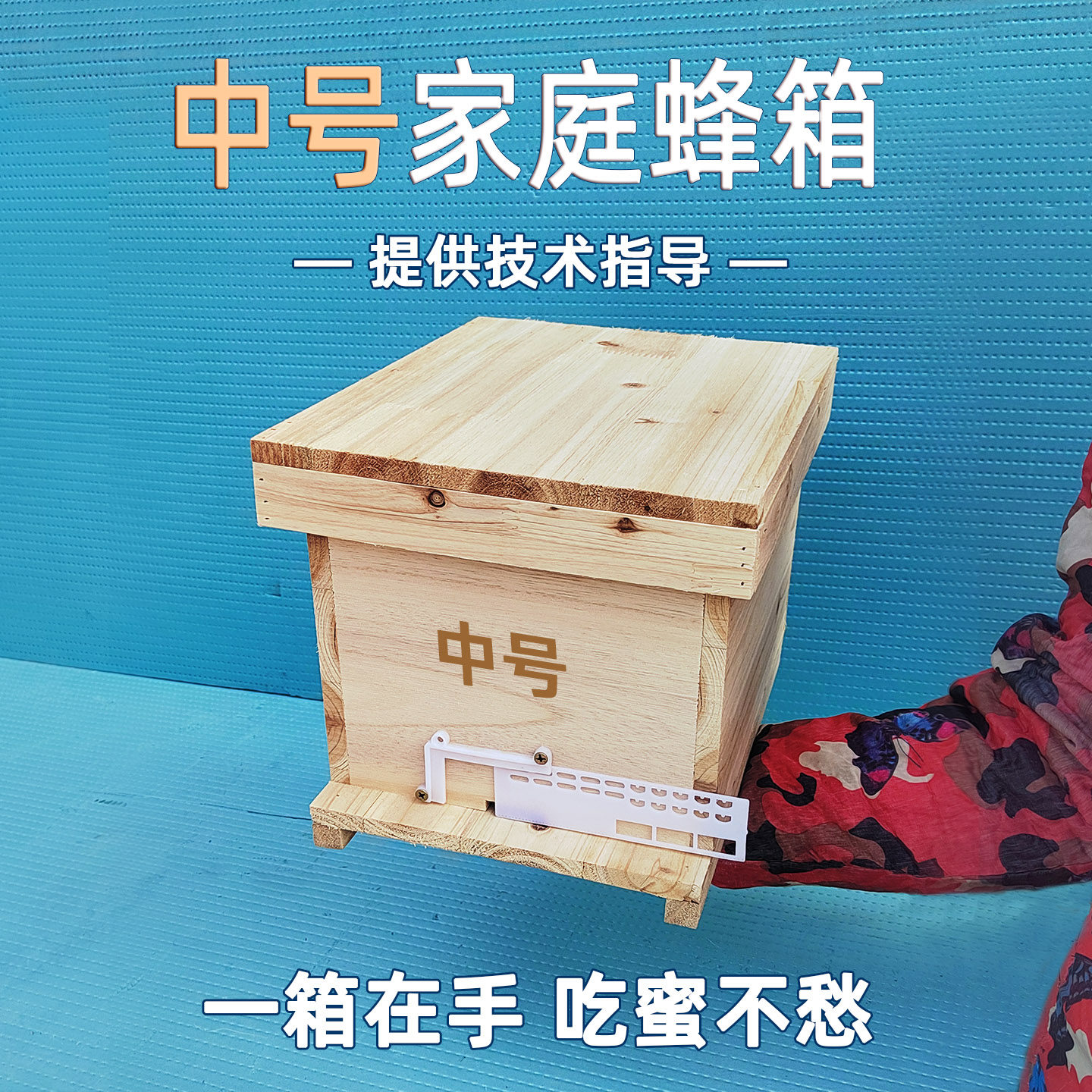 中号小型家庭养蜂箱交尾育王箱中蜂意蜂土蜂通用招蜂诱蜂箱包培训