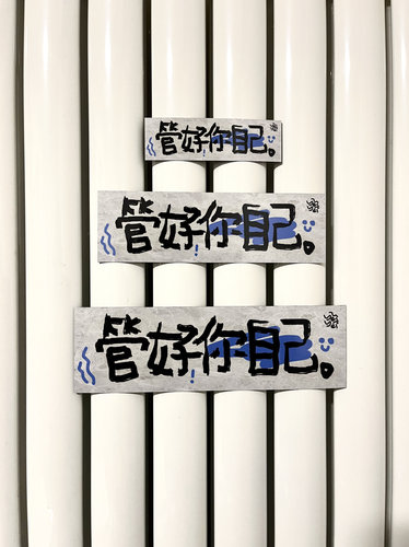 “管好你自己！”磁吸贴冰箱贴车贴门贴 一体磁吸 大中小三件套