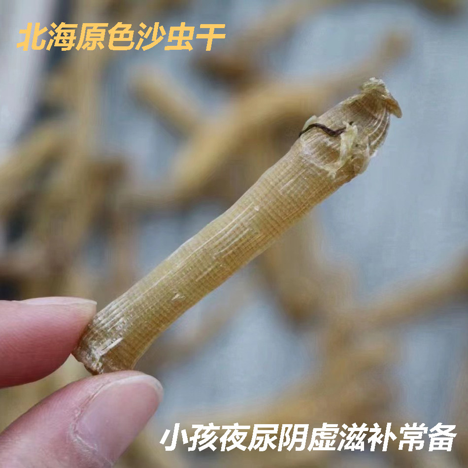 北海特性沙虫干小沙虫滋补孕妇小孩营养品煲粥北海特产野生