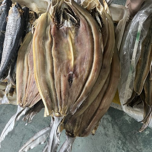 海鲜北海特产咸鱼鱼干风干鲨鱼干深海咸鱼干鲨鱼干干货