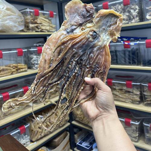 北海特产深海船晒章鱼干八爪鱼干海鲜干货哺乳期煲汤补奶下奶
