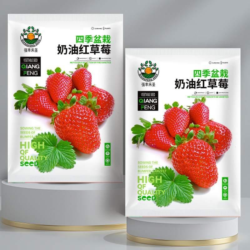 家庭阳台盆栽四季易活奶油红草莓种籽子大草莓种籽白草莓种子秋冬