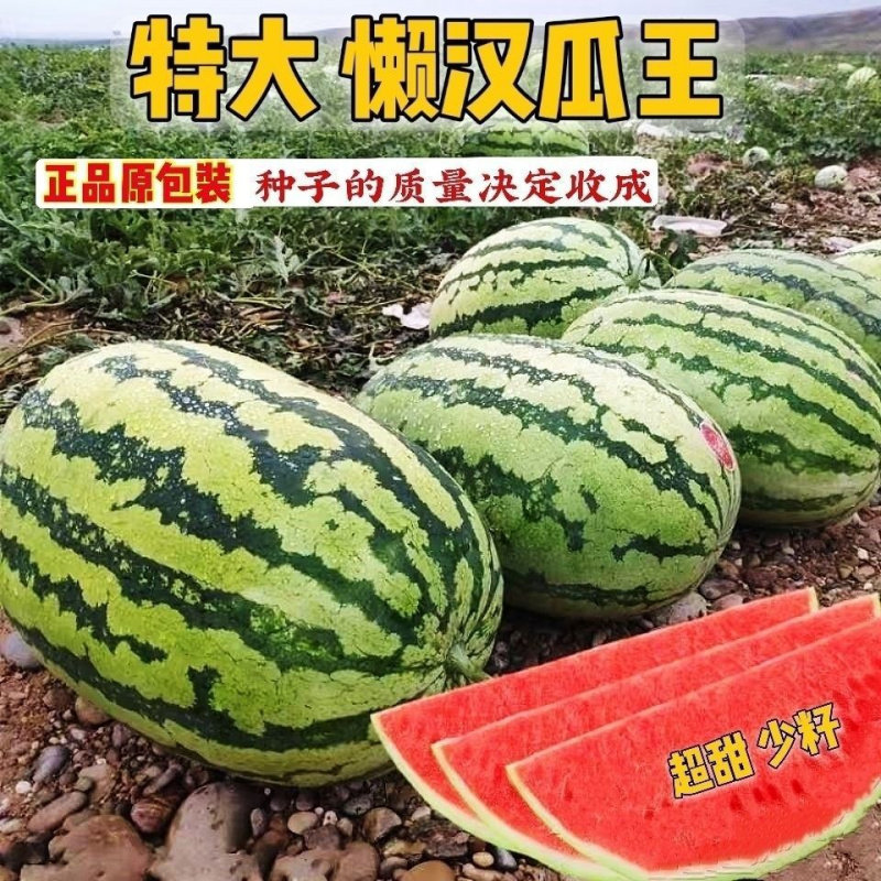 超甜西农八号西瓜种子