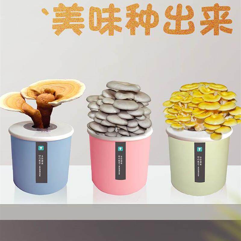 儿童学校平菇盆栽菌种菌包家庭种植食用菌菇蘑菇种植包桶装便捷版