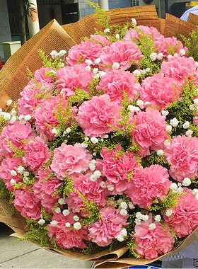 母亲节百合康乃馨鲜花速递同城花店湖北荆州市公安县江陵县松滋市