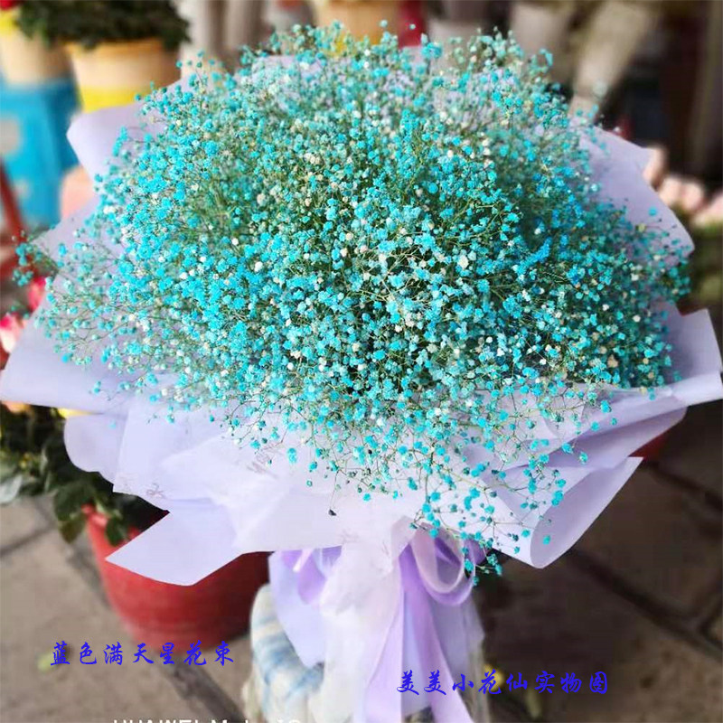 ins风满天星花束北京上海深圳广州杭州鲜花速递同城生日配送花店