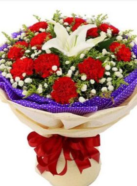 康乃馨送妈妈长辈生日礼物哈尔滨尚志五常市依兰县鲜花店同城速递