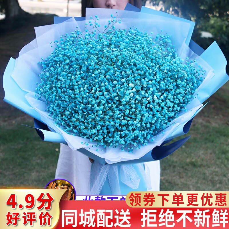 武汉杭州南京上海彩色满天星花束