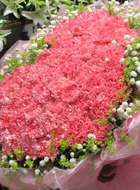 教师节康乃馨百合鲜花速递同城花店四川资阳市雁江区安岳县乐至县