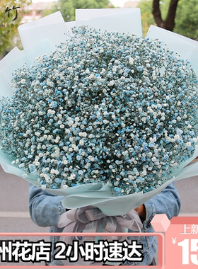 郑州超大彩色满天星花生日礼盒鲜花速递同城中原区二七金水送花店