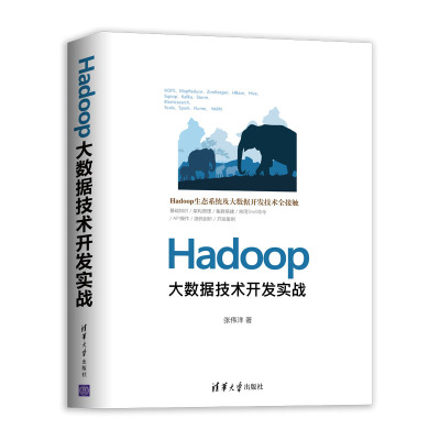 【官方正版】 Hadoop大数据技术开发实战 张伟洋 Hadoop 大数据 HDFS MapReduce YARN ZooKeeper Hbase