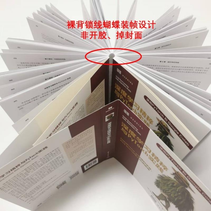 【官方正版新书】深度学习精粹与PyTorch实践 [美] 爱德华 拉夫（Edward Raff） 清华大学出版社 深度