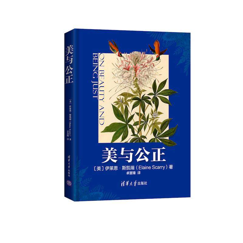 【官方正版】美与公正 伊莱恩·斯凯瑞 清华大学出版社 美学艺术哲学思想美学理论