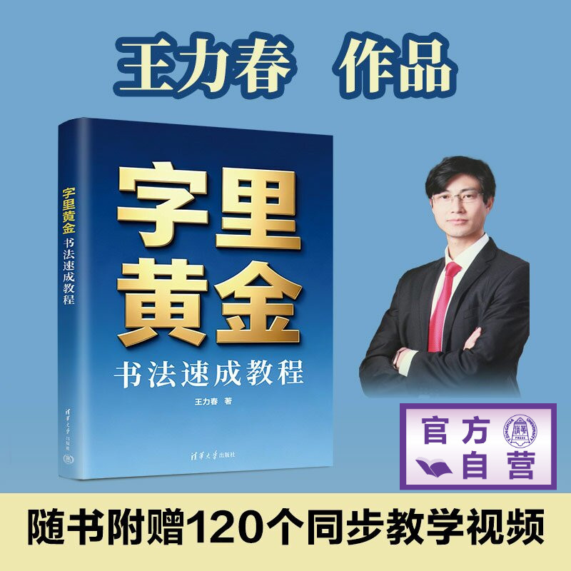 【官方正版新书】 字里黄金：书法速成教程 王力春 清华大学出版社 技法、审美、理论