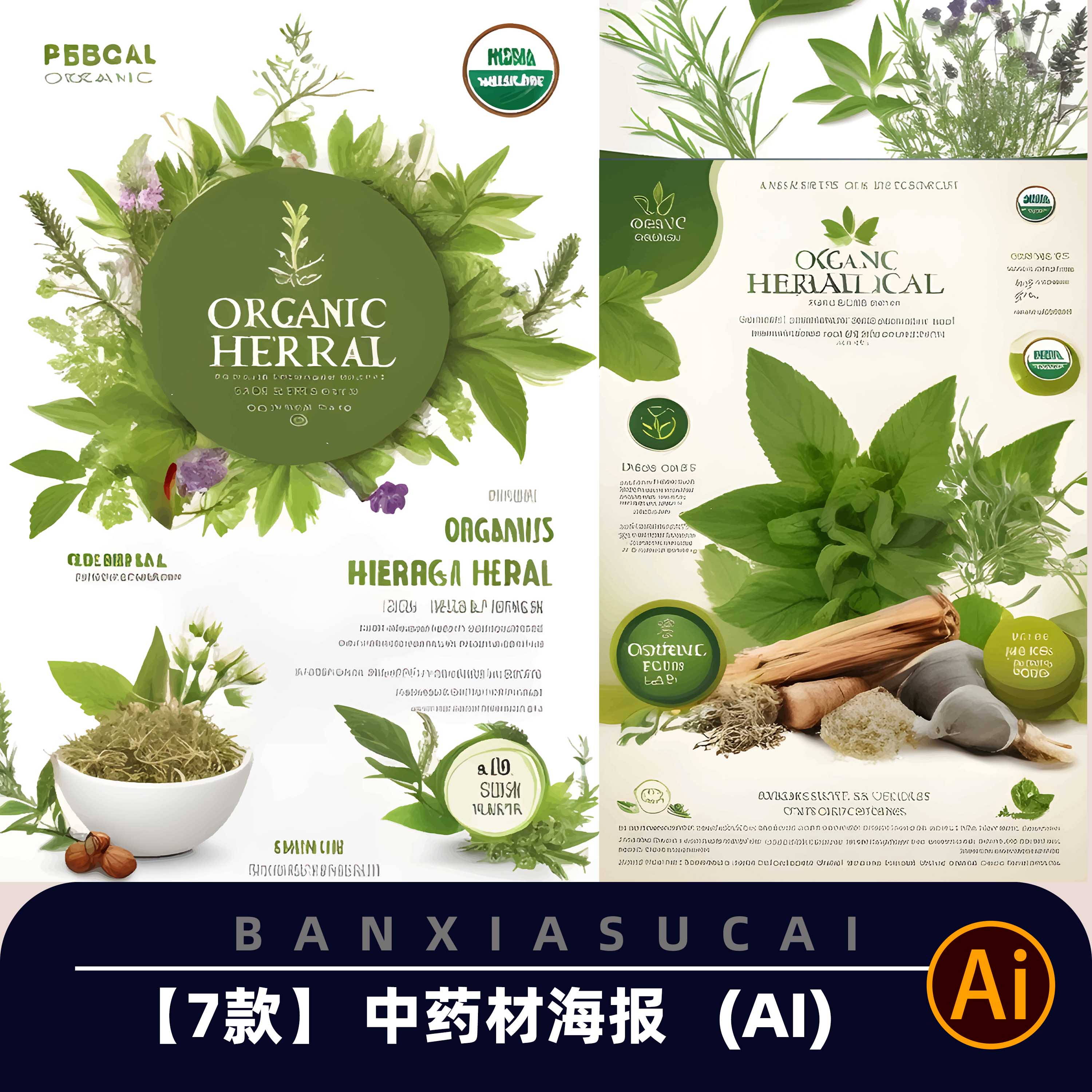 Y017传统古典中药材中草药设计宣传平面海报促销宣传单页AI源文件