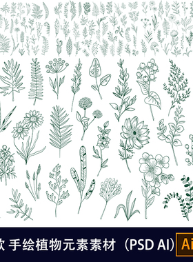 手绘花卉植物叶子花边花纹线描线条线稿图案AI矢量PNG素材PS307