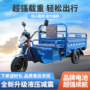 家用電瓶車農(nóng)用車 全新國標電動三輪車載重王拉貨三輪車快遞車新款