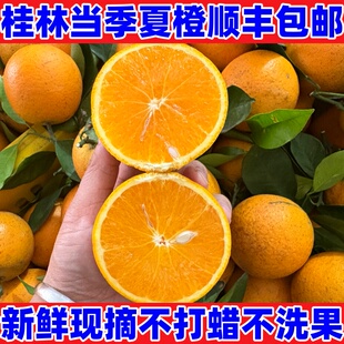 广西桂林正宗夏橙新鲜现摘当季水果橙子鲜橙非伦晚橙脐橙顺丰包邮