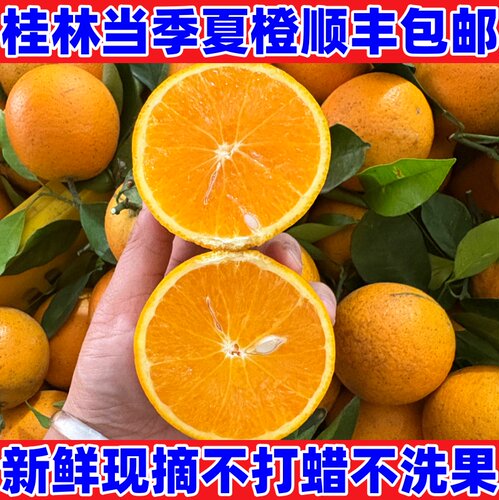 广西桂林正宗夏橙新鲜酸甜爆汁