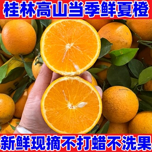 广西桂林正宗夏橙新鲜现摘当季水果橙子鲜橙非伦晚橙脐橙10斤包邮